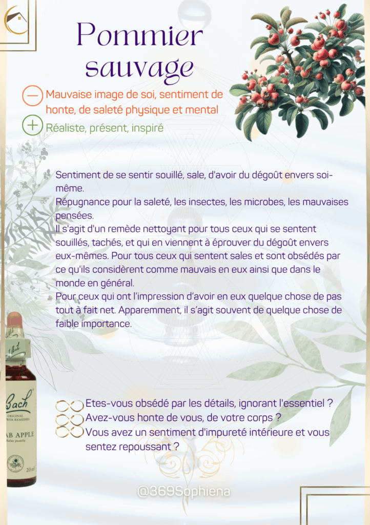 BF Fr 10 Pommier sauvage