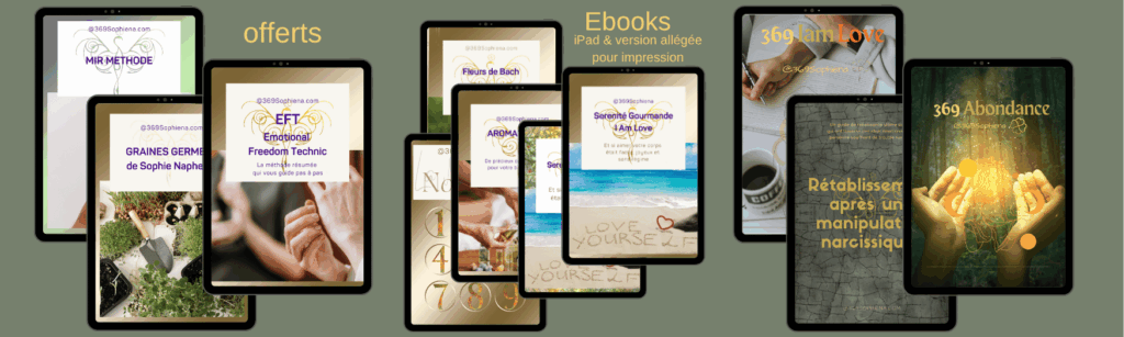 Ebooks FR