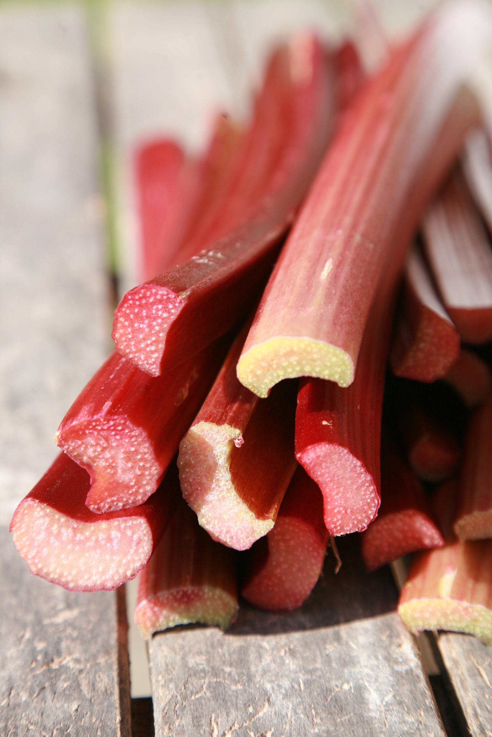 rhubarb