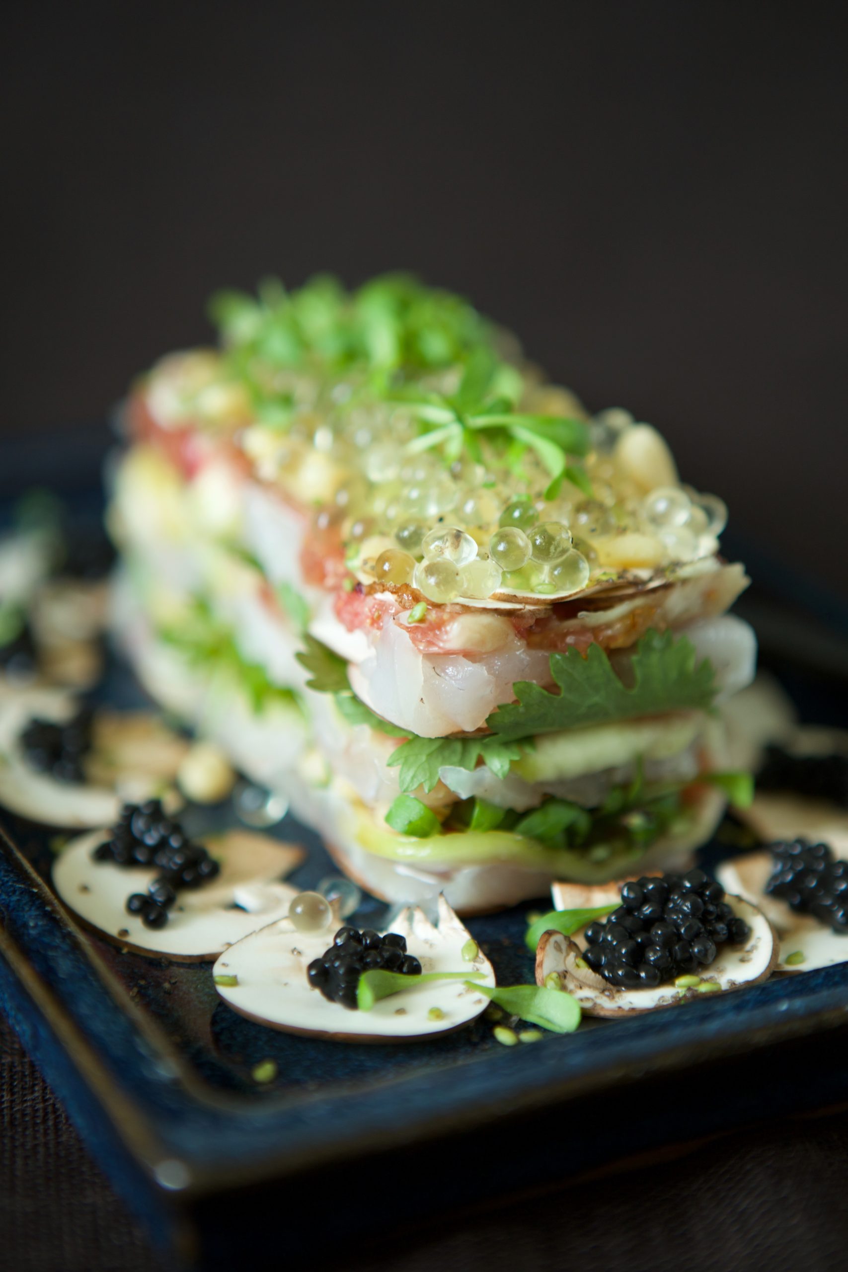 Millefeuille poissons